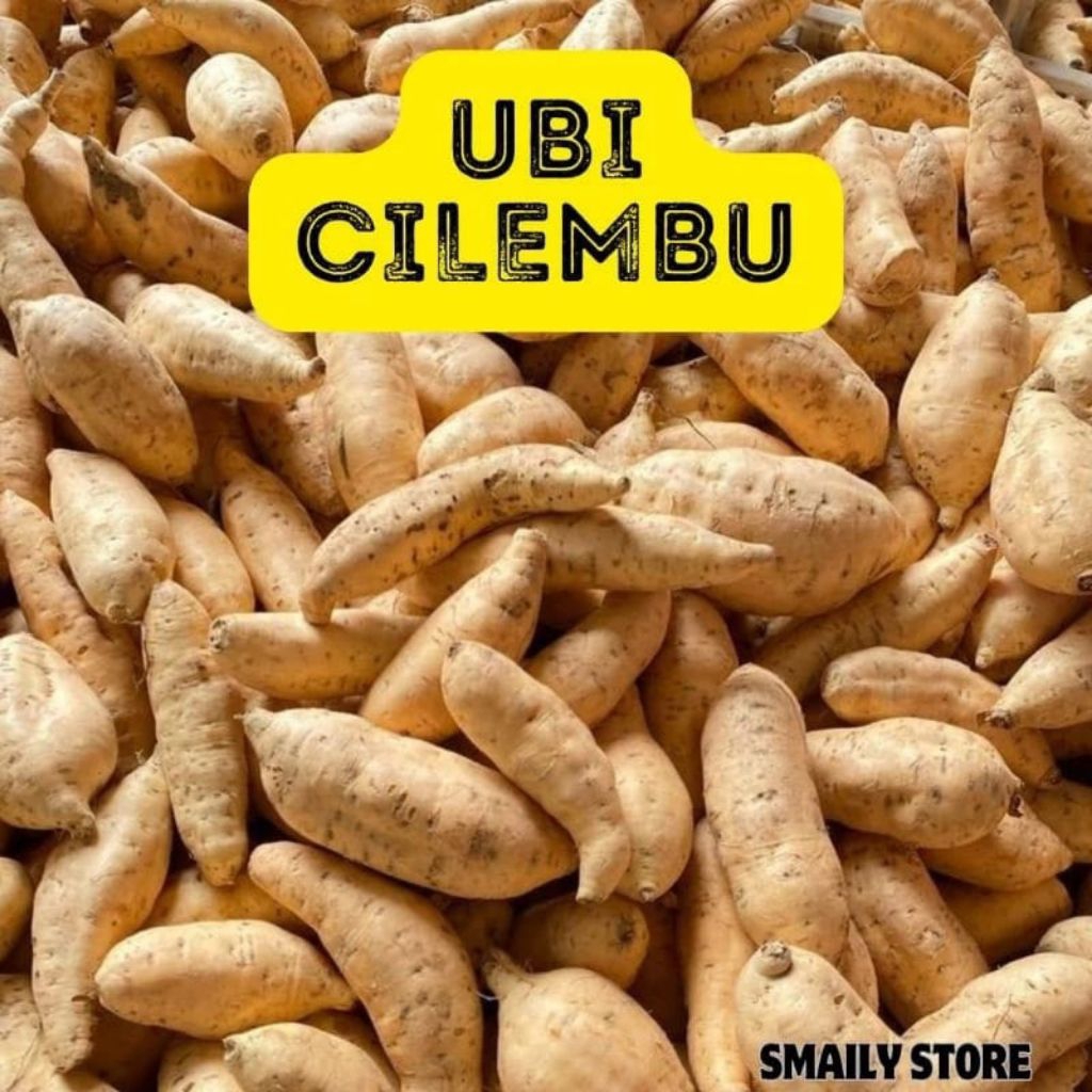 

Ubi cilembu madu 1kg