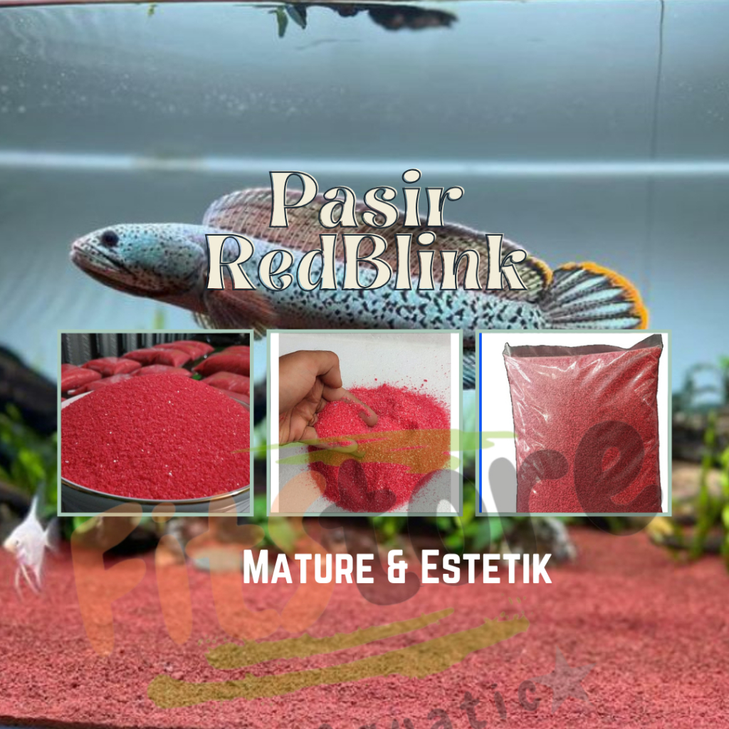 Pasir Merah/Red Blink untuk Ikan Predator Chana Aquarium/tanaman hias