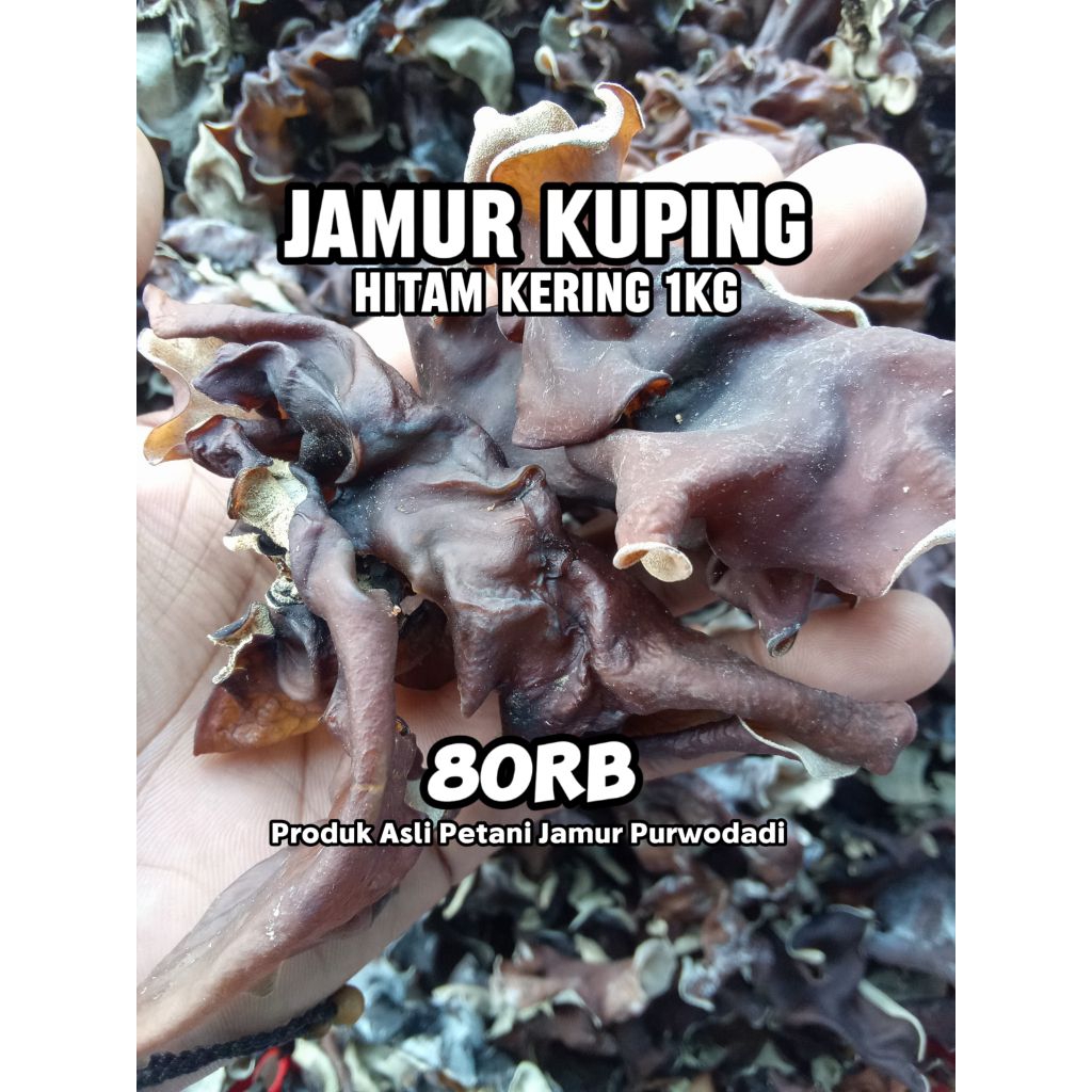 

JAMUR KUPING KERING1KG ASLI PURWODADI