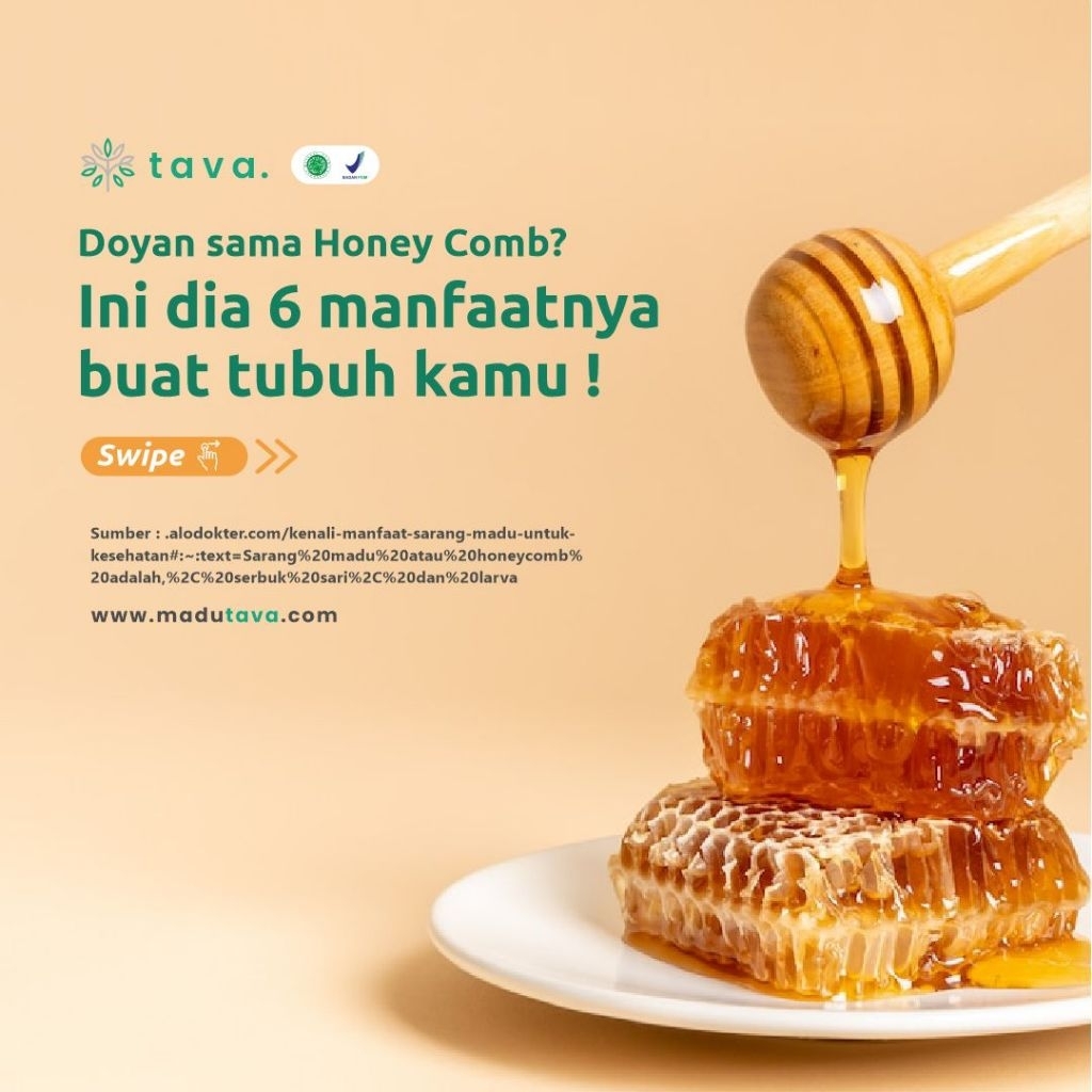 

Madu Tava 600 Gr Madu Raw Honey Organik | Madu Asli Alami Fresh Sehat Enak Lembut