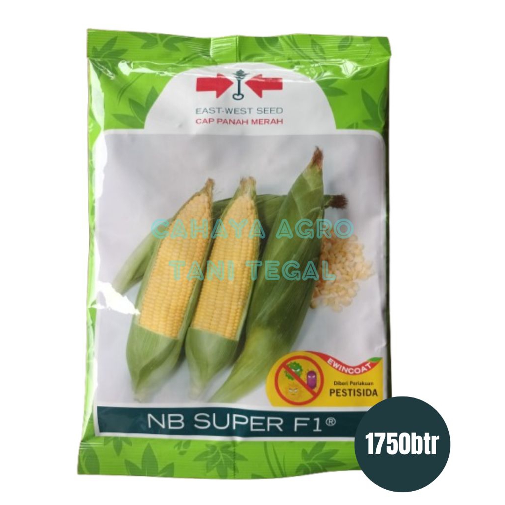Benih Jagung Manis NB SUPER 1750 butir.panah merah