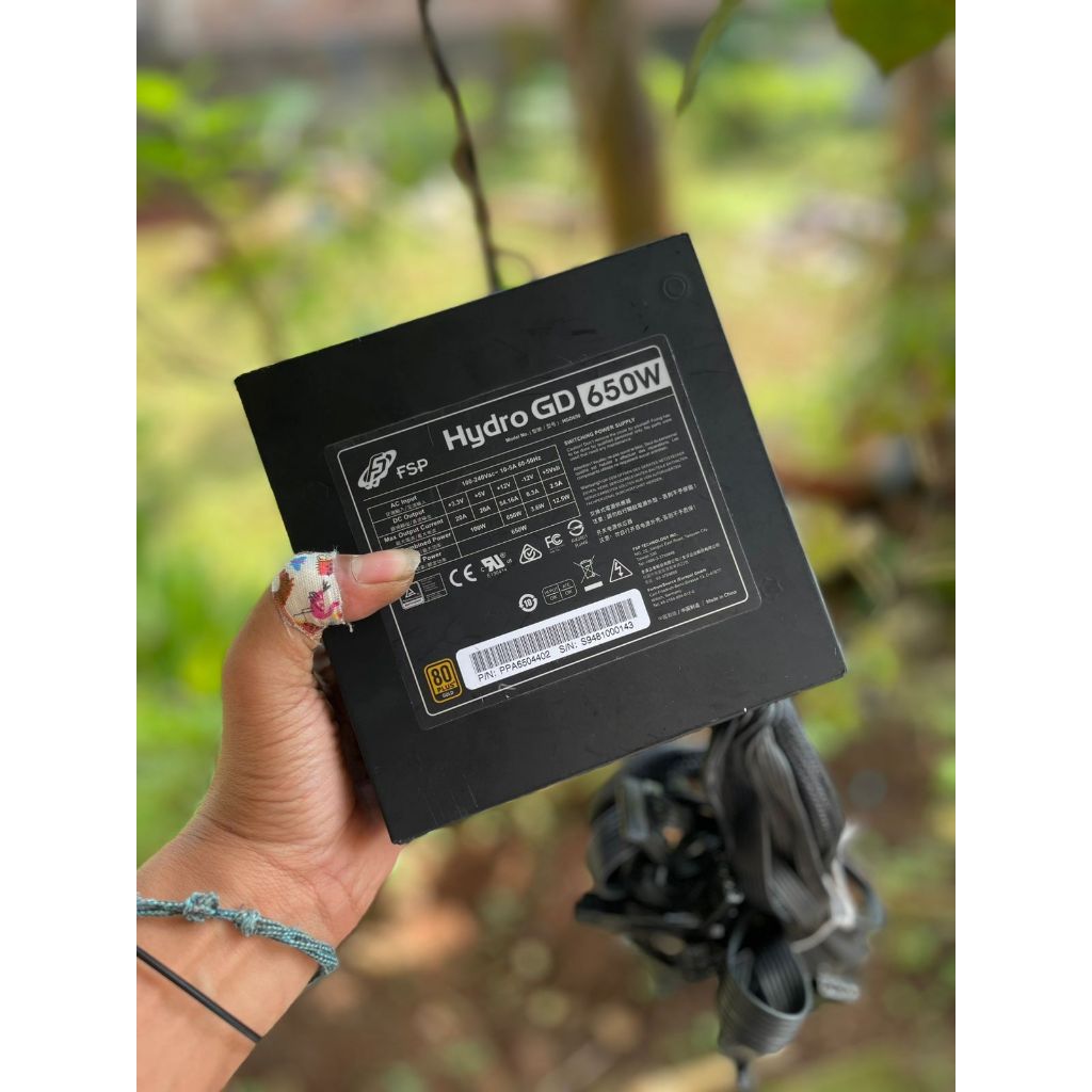 psu fsf HYDRO GD 650w 80gold