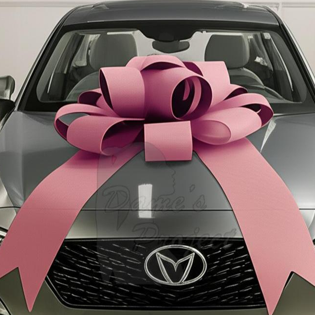 

Pita Kado Dame's Project Premium Untuk Hiasan Hadiah Besar Premium&Mewah Untuk Handover Mobil Baru