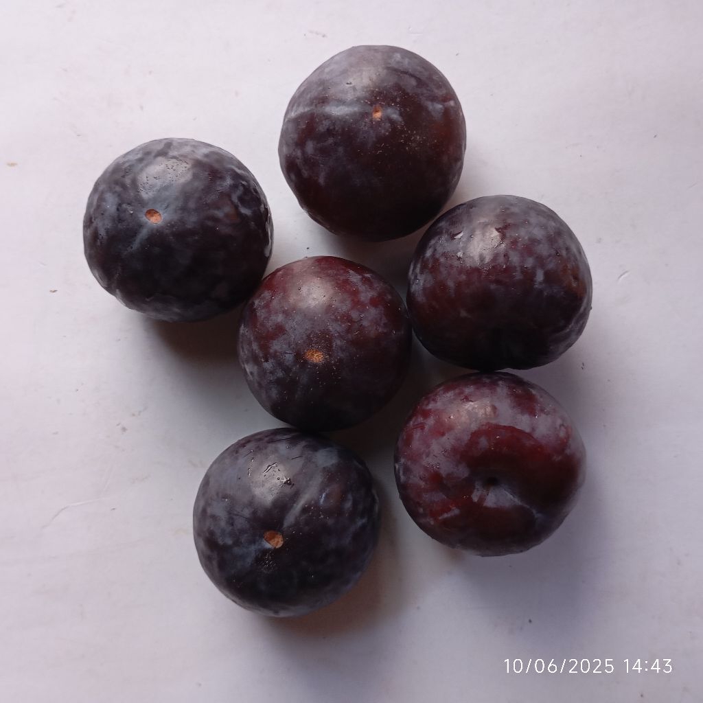 

BUAH PLUM MERAH 500 GRAM