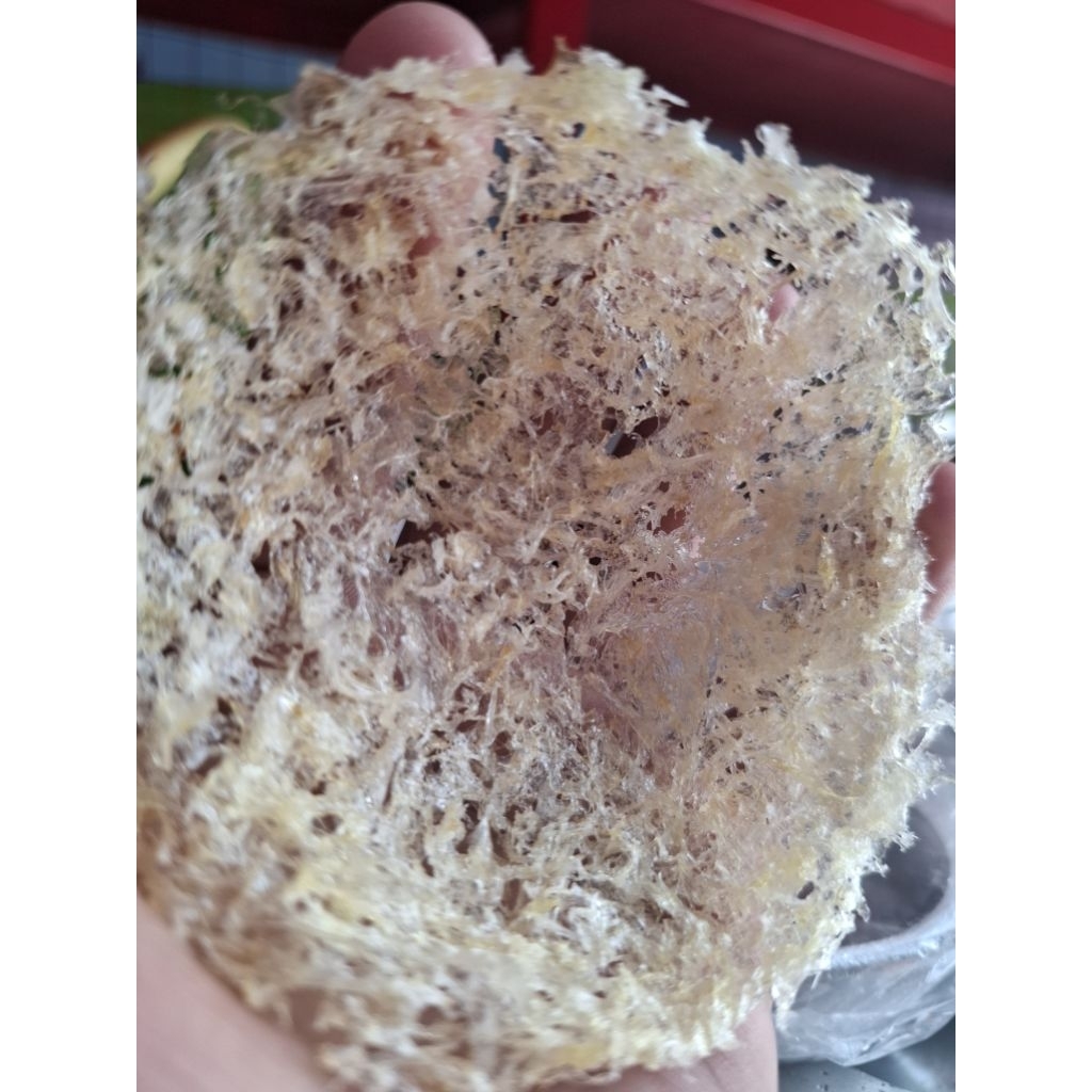 

Sarang walet bersih warna krem (golden). Dijual per gram