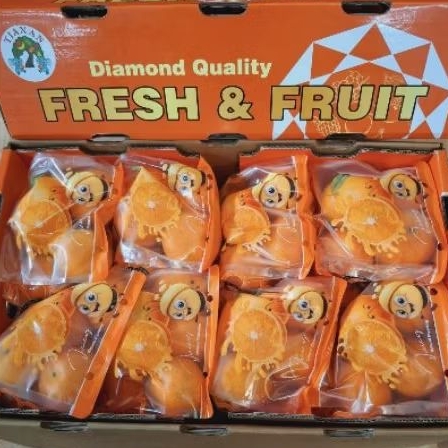 

Buah jeruk wokam top sweet super manis premium gift Box -+8 kg