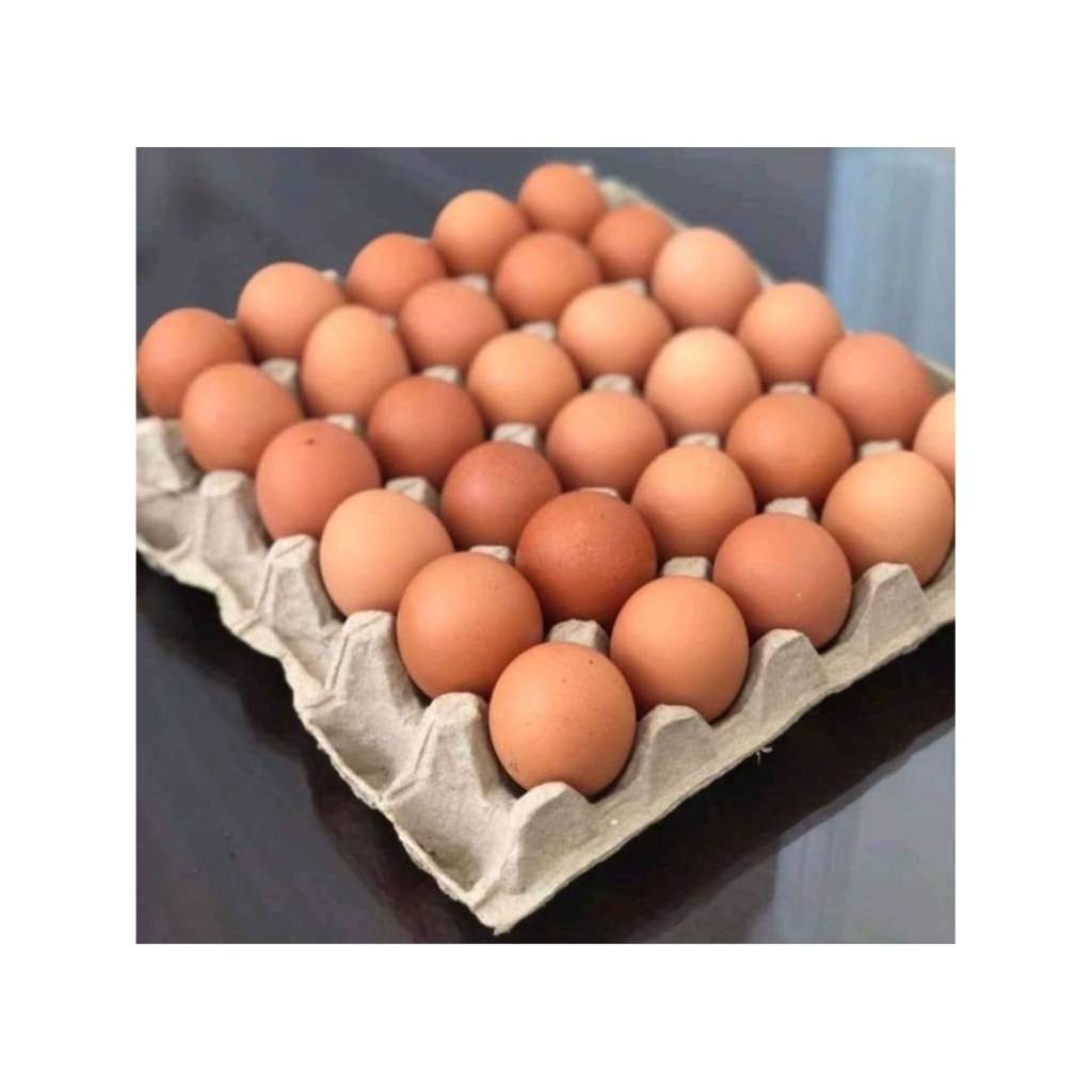 

TELUR AYAM EROPA 1 PAPAN 30 BUTIR eropah baru