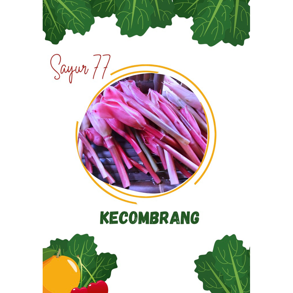 

KECOMBRANG 500gr
