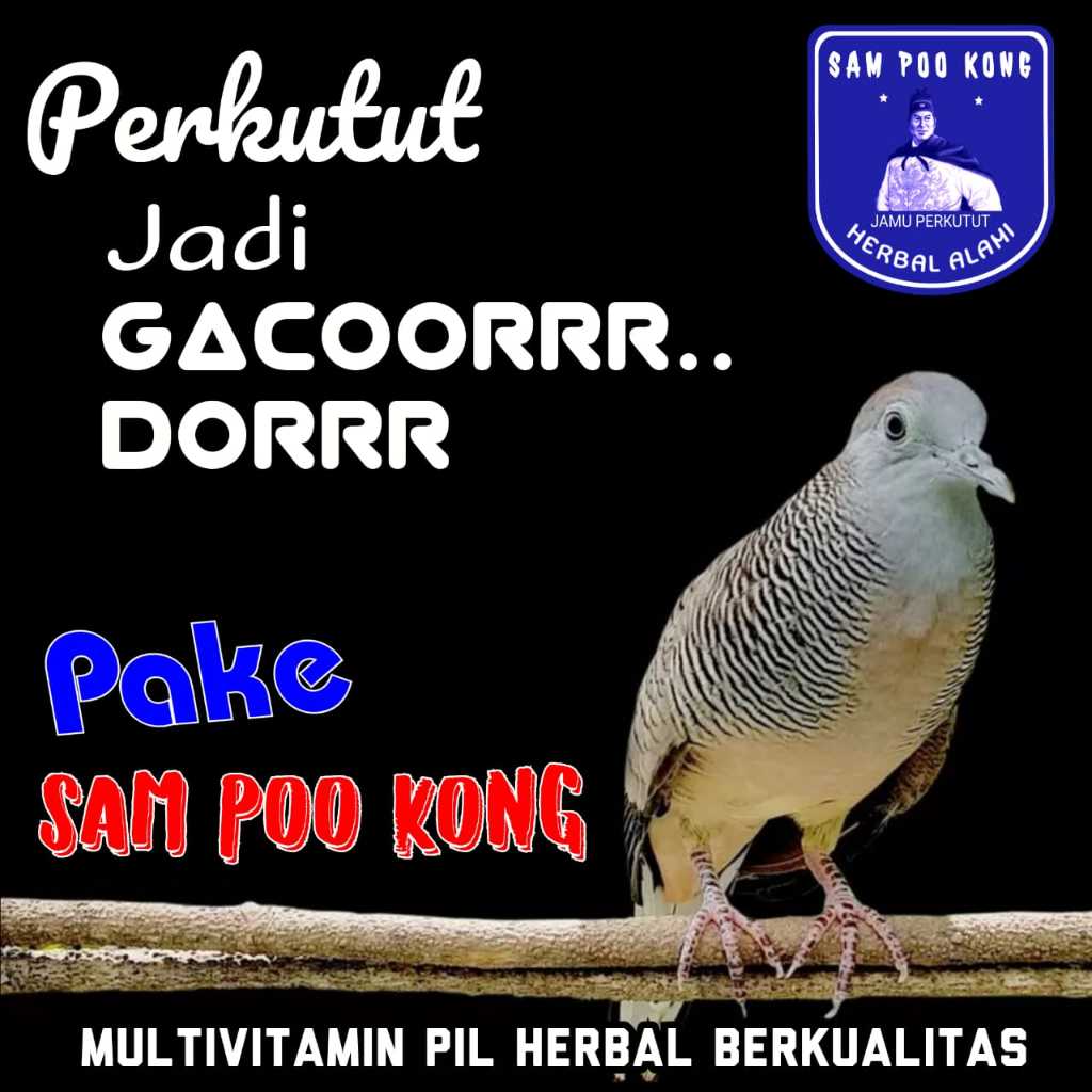 JAMU PERKUTUT GACOR SAMPOOKONG JAMU PERKUTUT BANGKOK