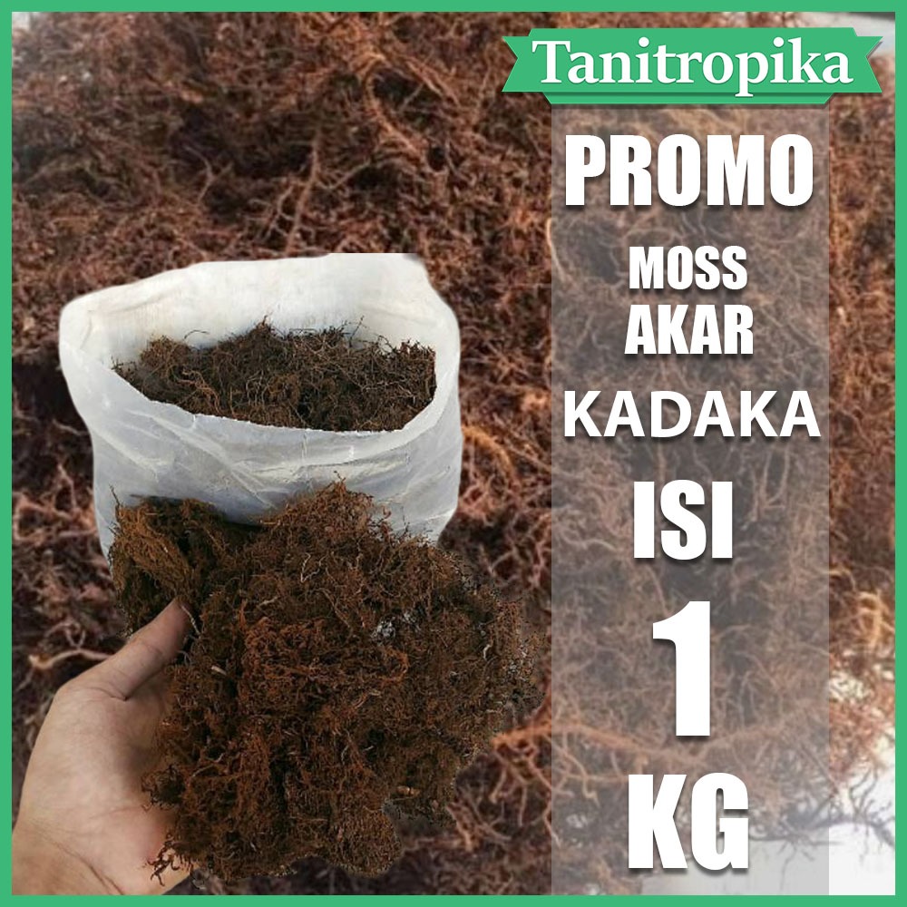 Media Tanam Organik Moss Hitam akar kadaka 1 kg untuk media tanam anggrek toko tani tropika