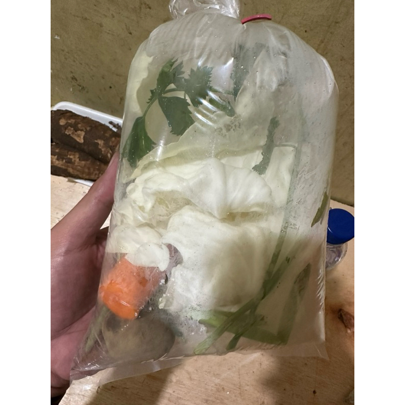 

PAKET SAYUR SOP - ECO