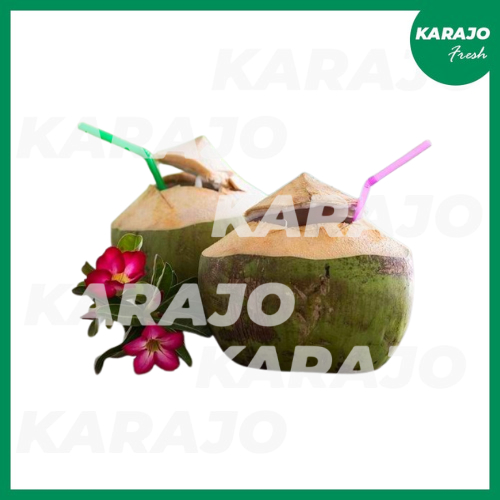 

Kelapa Muda Fresh Dan Nikmat 1000g