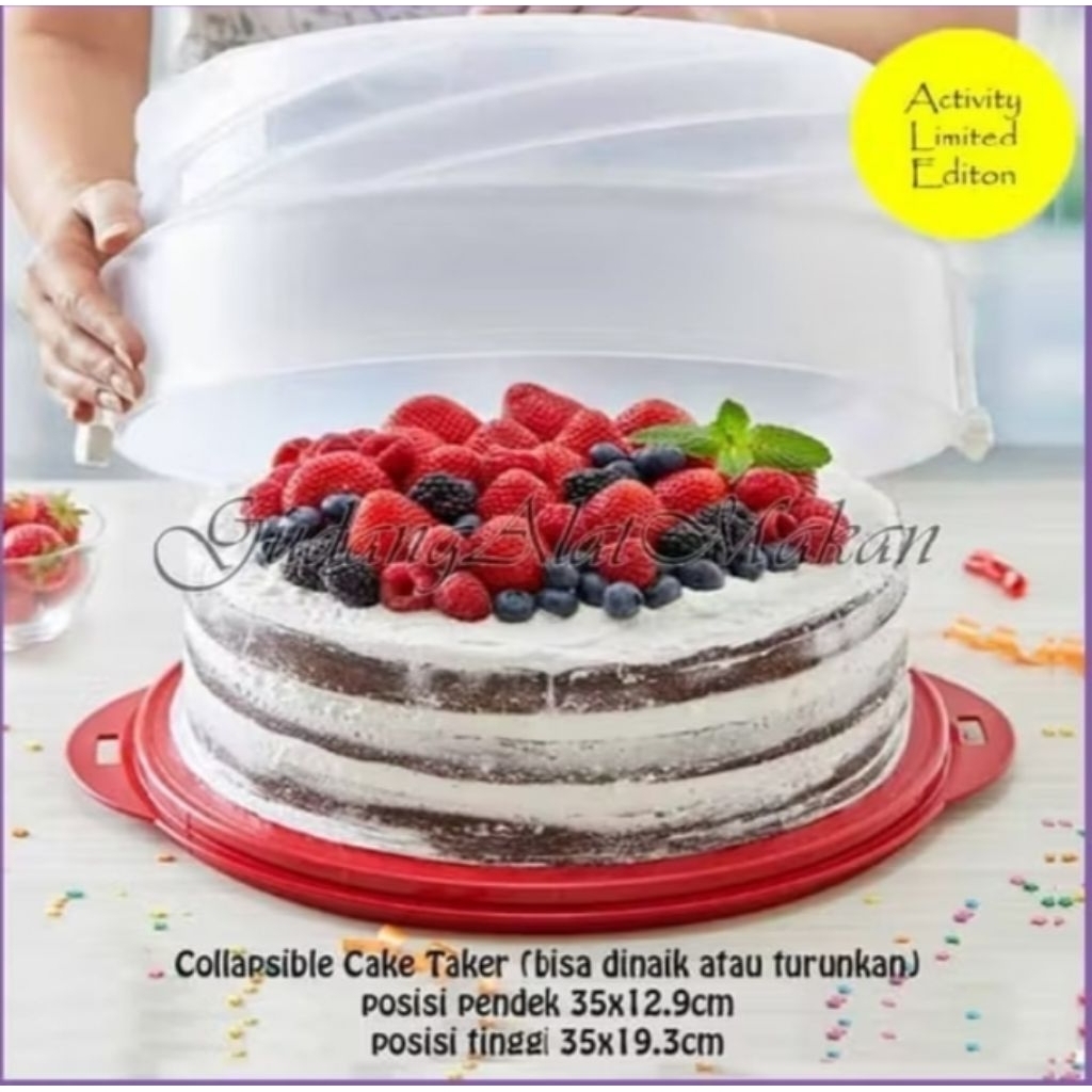 Cake Taker round Tupperware