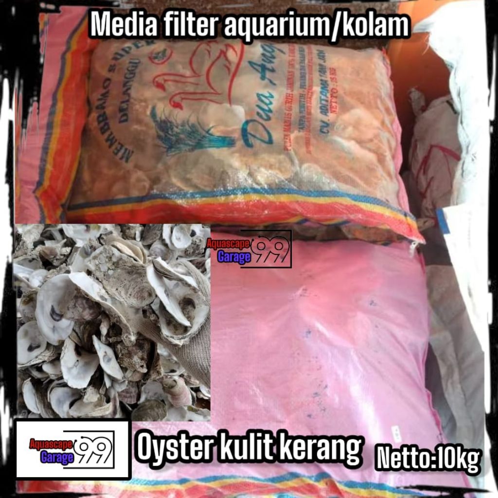 Kerang oyster karungan 10 kg / oyster / kerang oyster / media filter / media filter kolam / media fi