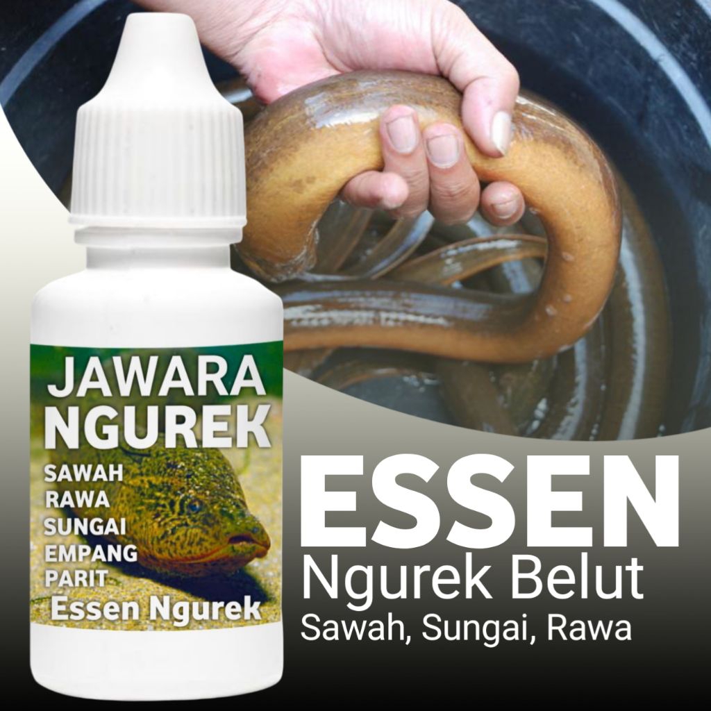 Essen untuk ngurek belut sawah