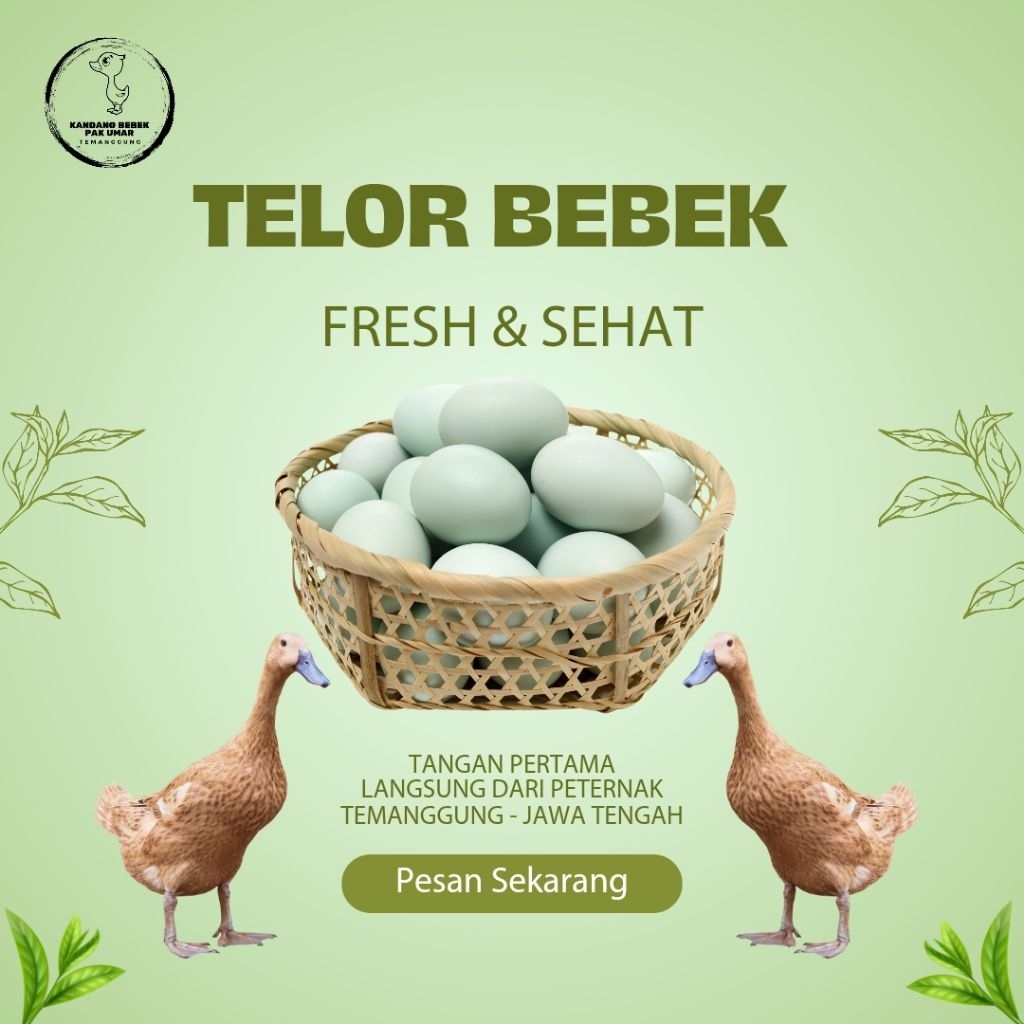 

TELUR BEBEK FRESH TANGAN PERTAMA (BUKAN TELOR ASIN)