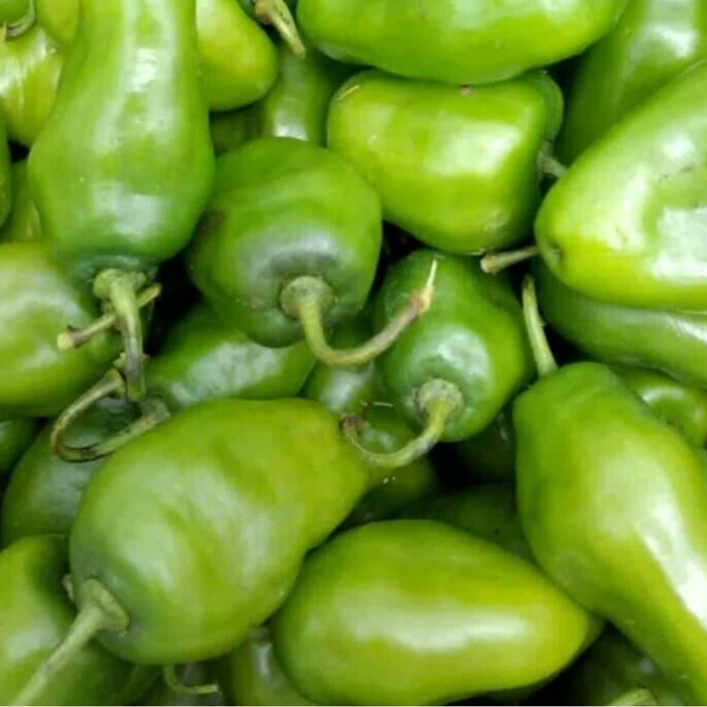 

[Tanyakan Stok Dulu] CABE GENDOT SEGAR BERKUALITAS CABAI VIRAL