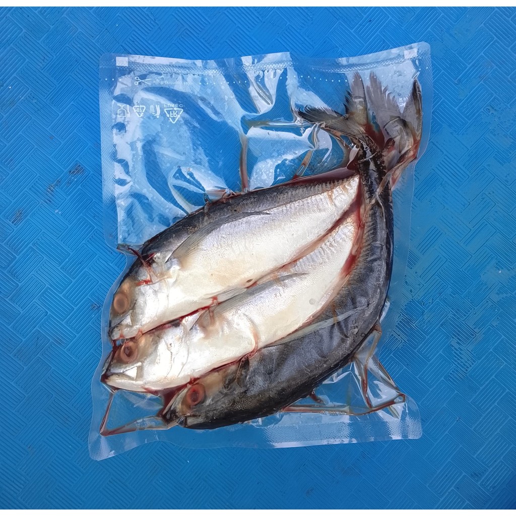 

Ikan Makarel 500 GRAM - Seafood Frozen - Ikan Laut