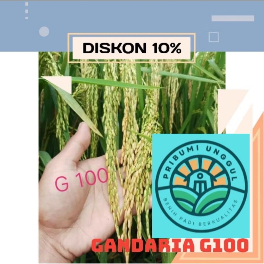 Benih padi gandaria G100 Berkualitas unggul kemasan 5kg