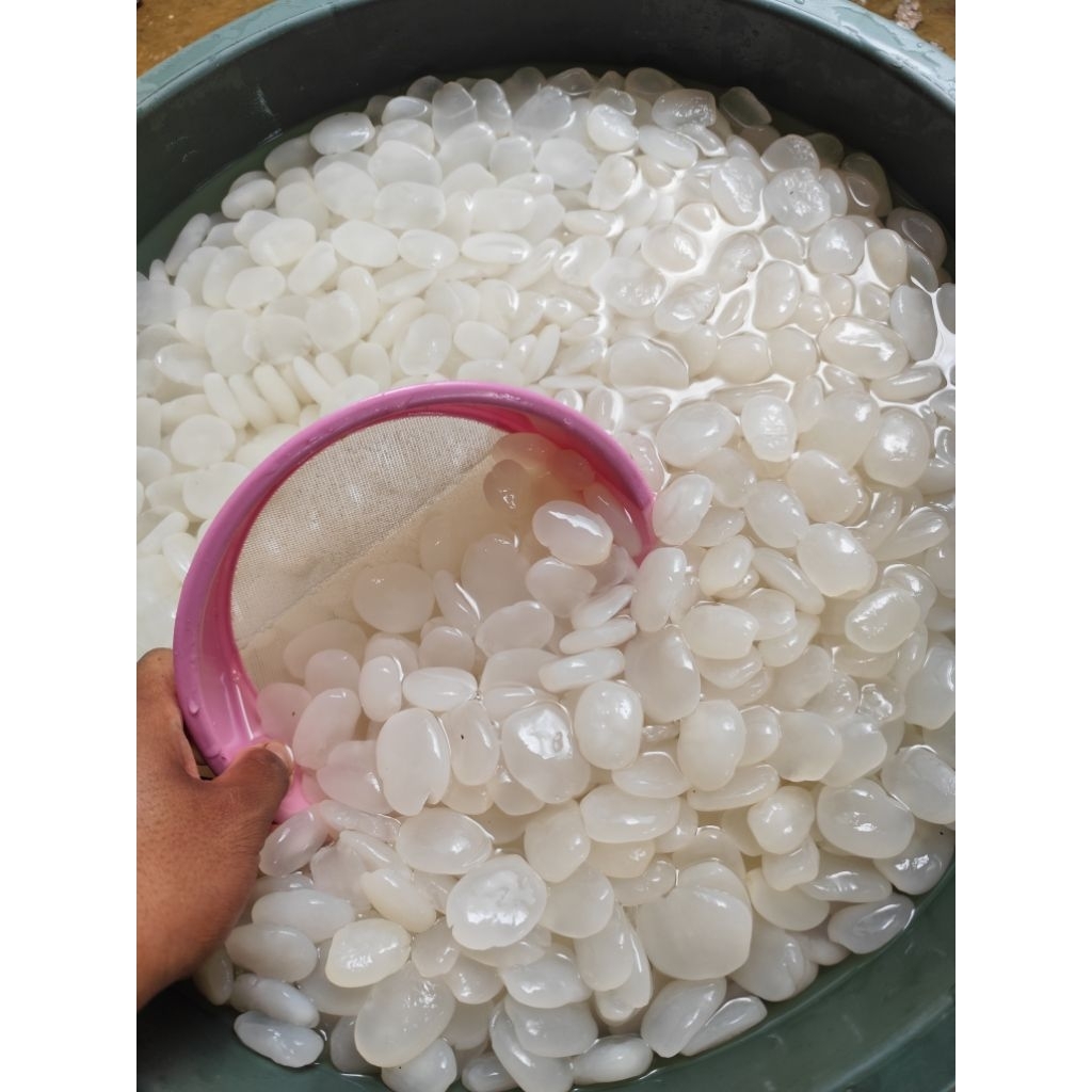 

kolang kaling 1kg super fresh