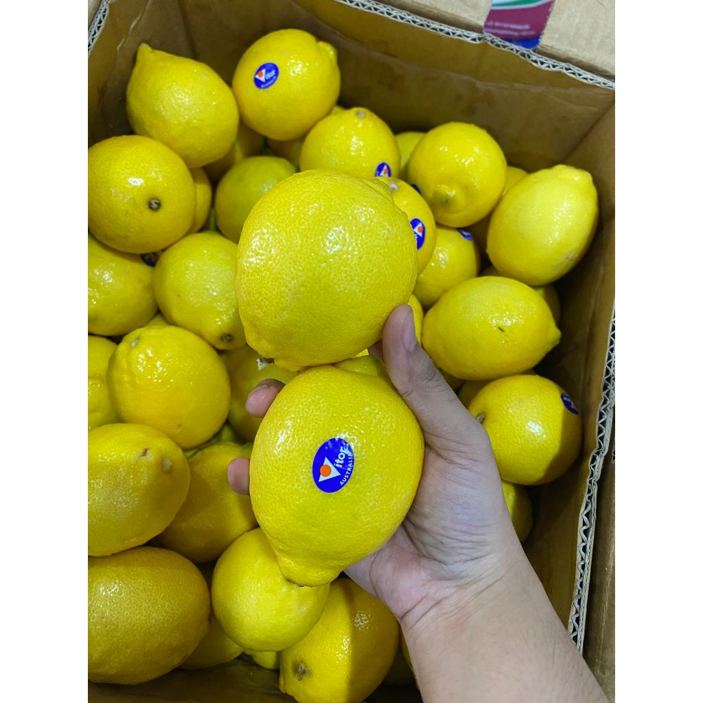 

LEMON IMPORT. JERUK LEMON. FRESH LEMON SEGAR FRESH IMPOR