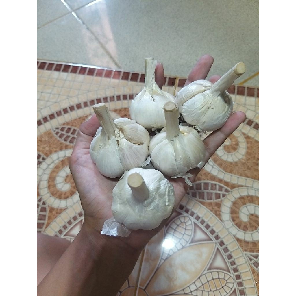 

Bawang putih kating 250gr - 1kg