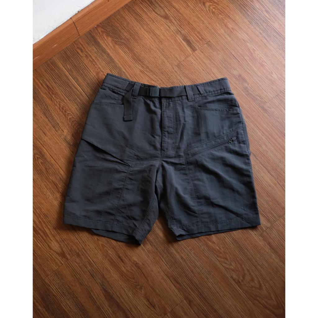 TNF PARAMOUNT CARGO SHORT - ASHPALT
