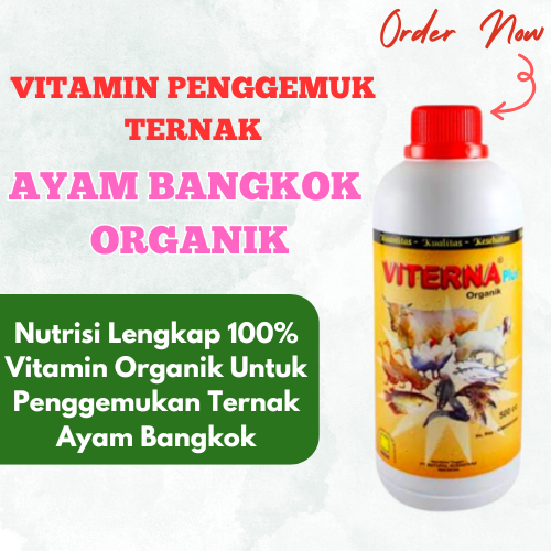 Vitamin Ternak Ayam Bangkok Biar Gemuk / Vitamin Ayam Bangkok Lahap Makan / Vitamin Ayam Bangkok Cep