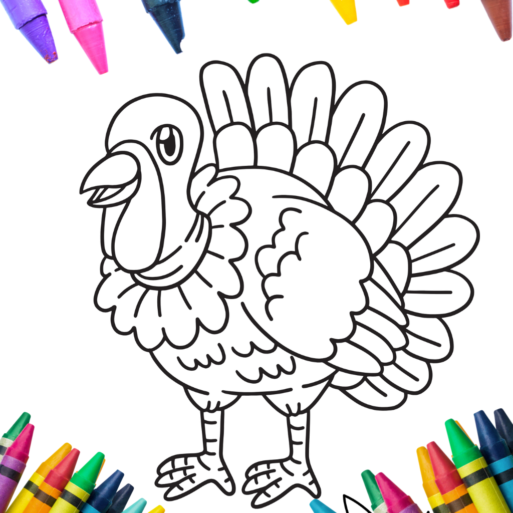 

Sketsa Mewarnai Tema Ayam