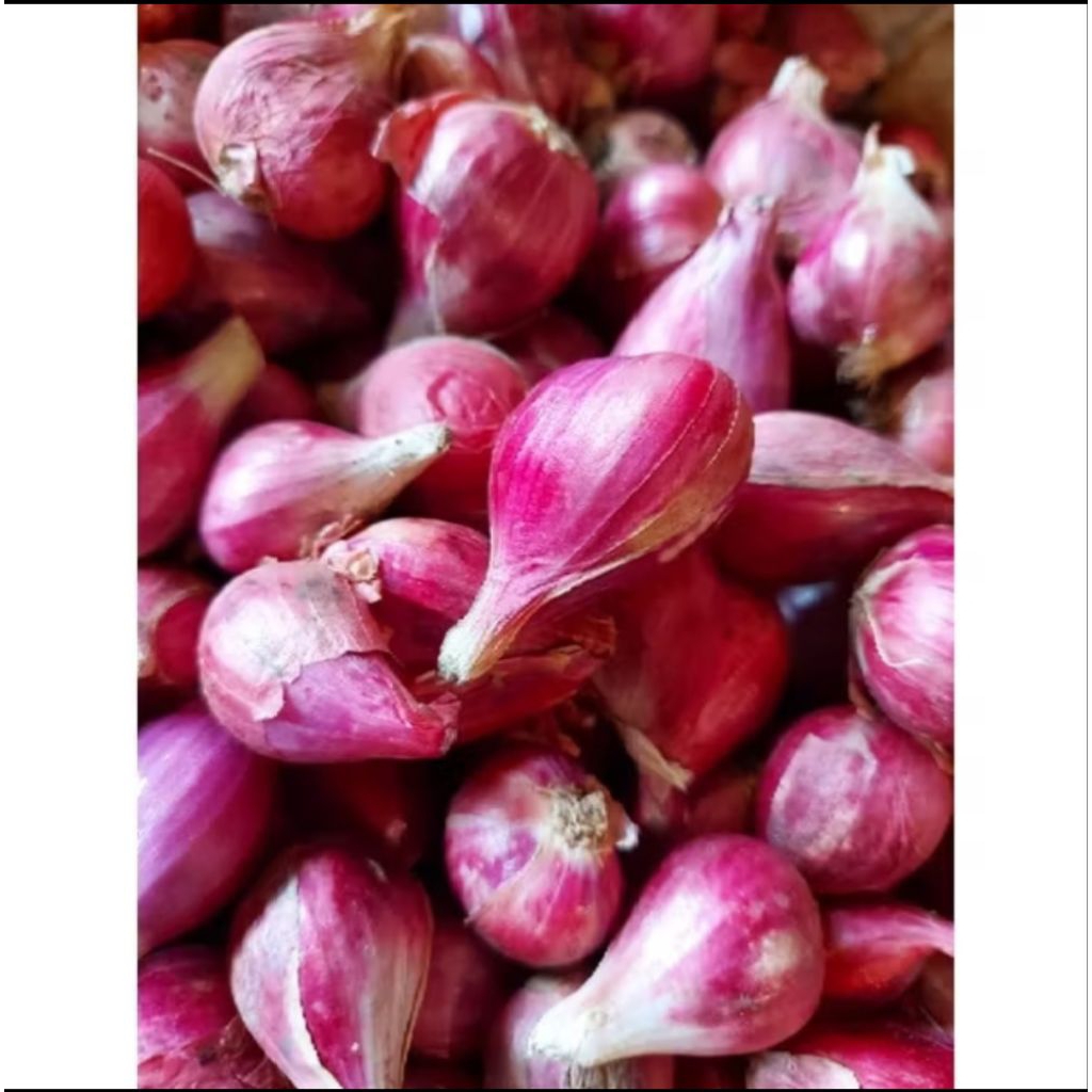 

Bawang merah kulit bersih 100% Brebes