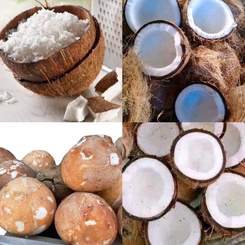 

KELAPA TUA / MUDA / SEDANG KUPAS & PARUT PER PCS