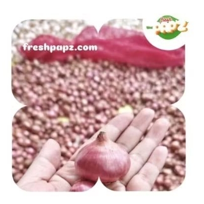 

Bawang Merah Super
