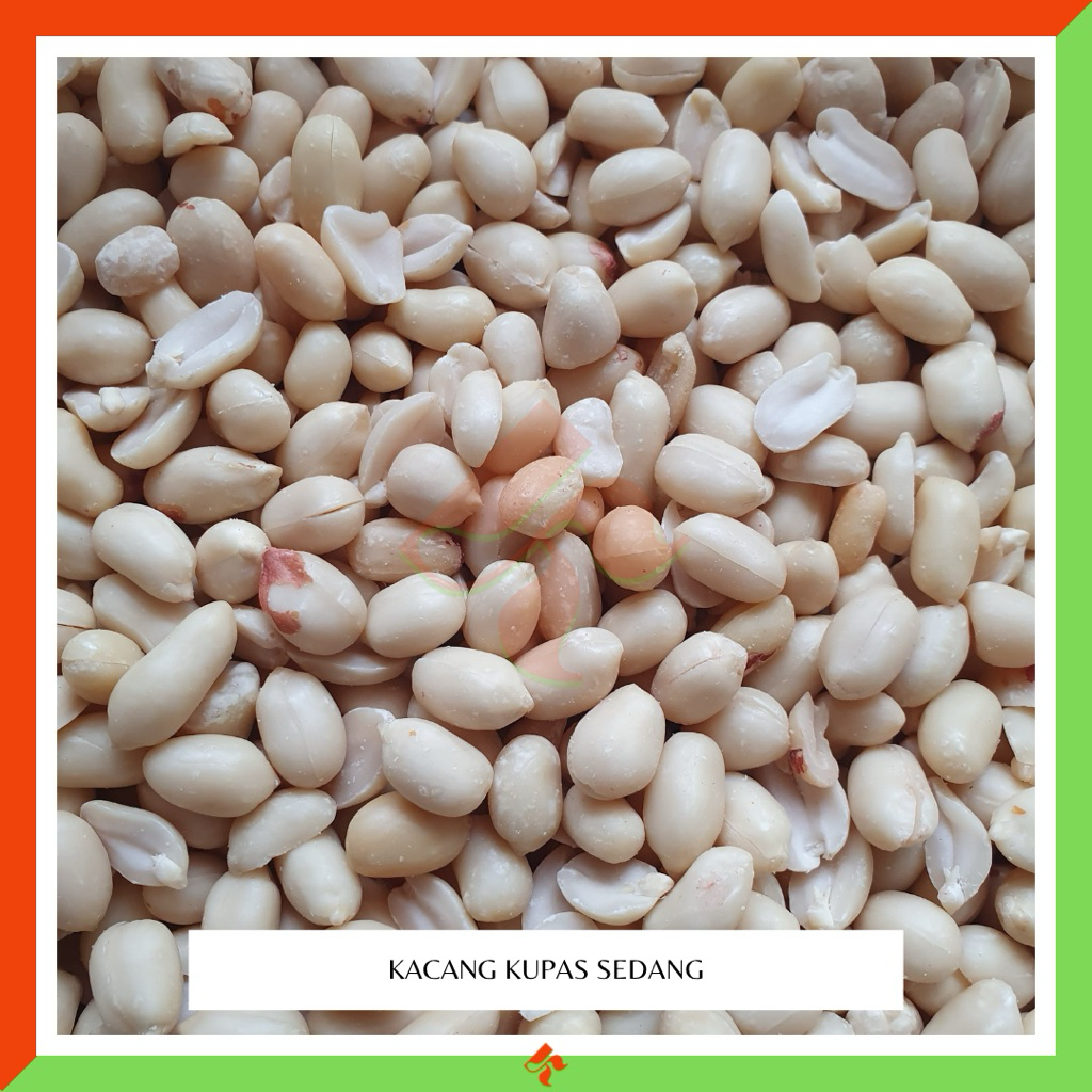 

KAKARA - Kacang kupas impor ukuran 4151 / sedang grosir kiloan