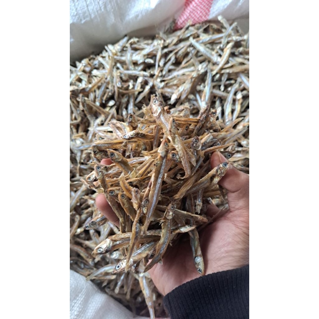 

ikan kering teri kasar