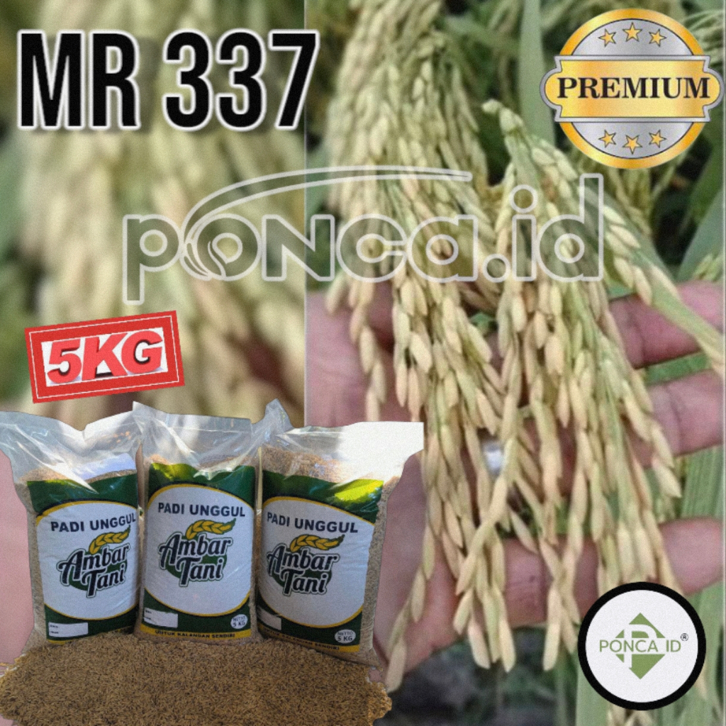 Benih Padi MR 337 PREMIUM 5kg