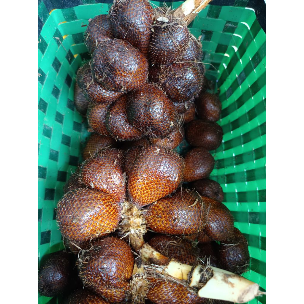 

Salak pondoh 2,5 kg Banjarnegara