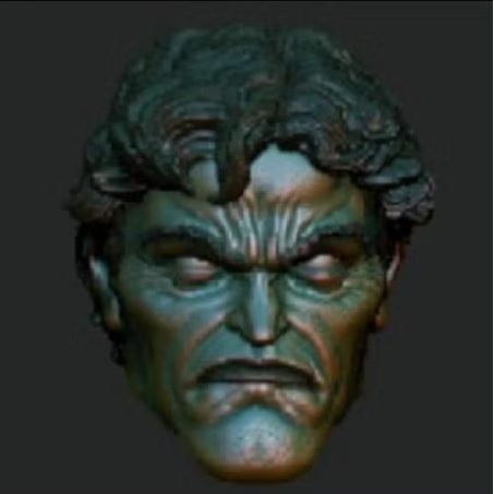 Headsculpt Head Joker Batman The Dark Knight Returns TDKR Mcfarlane Adam Muff Toys Notaman Shf NWToy