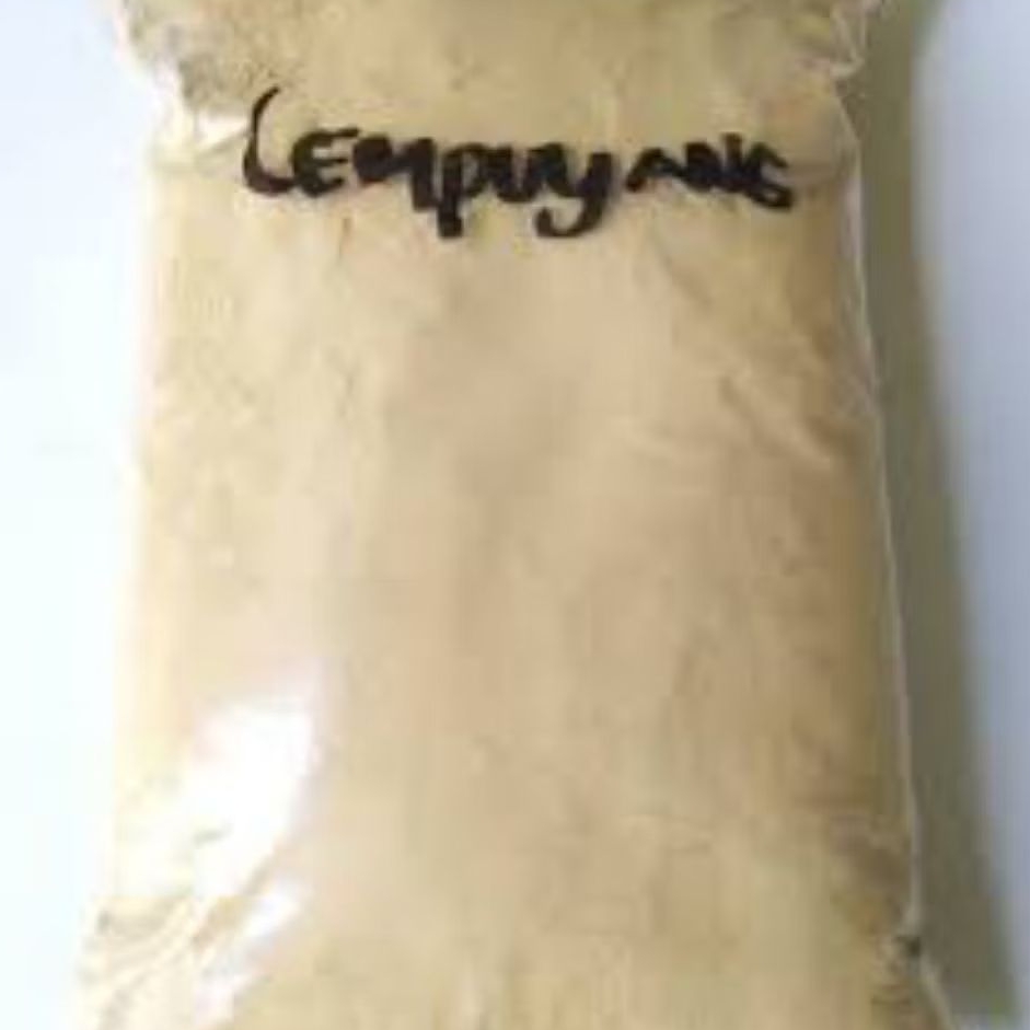 

Bubuk Serbuk Lempuyang Puyang 1 kg lempuyang bubuk 1kg