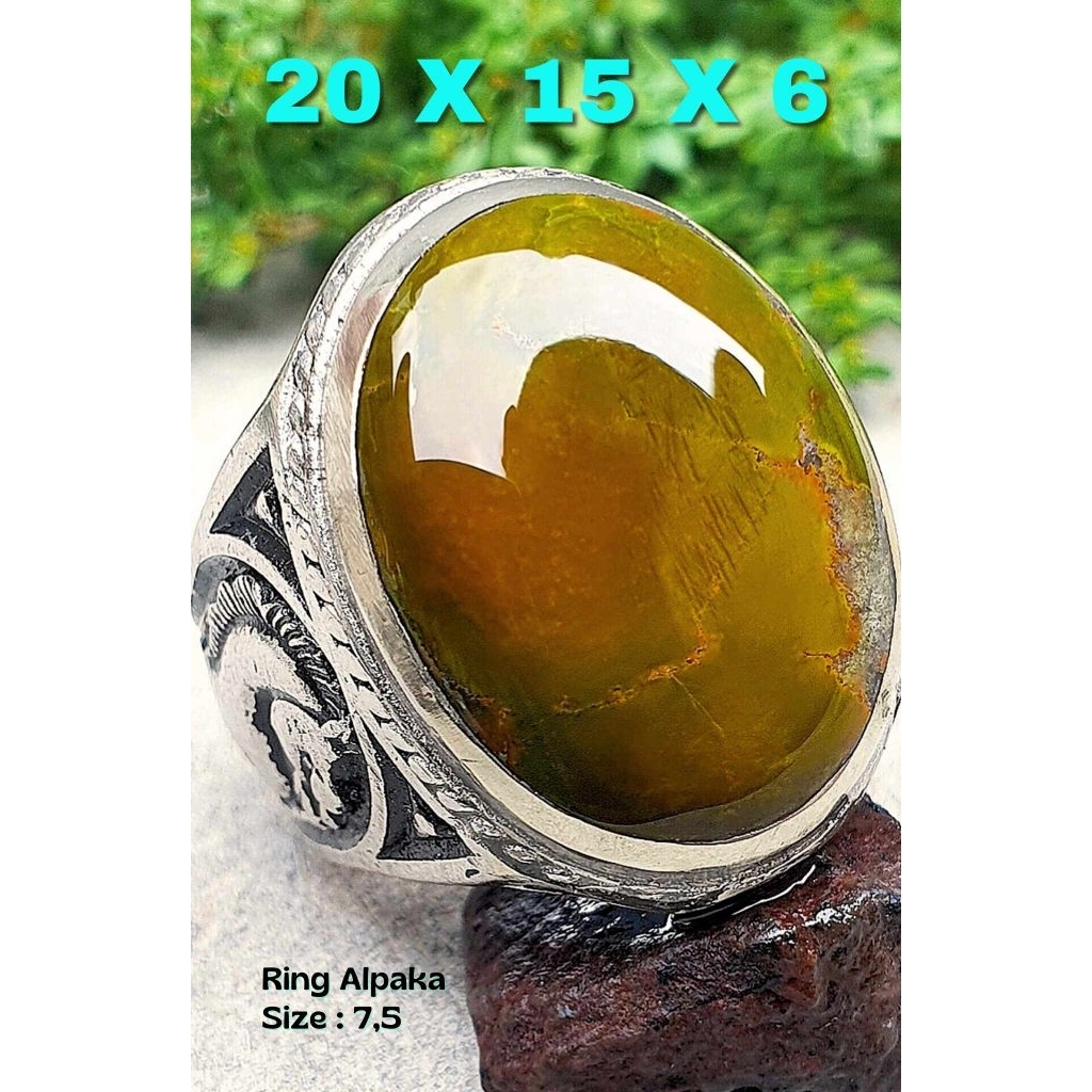 MURCE Pirus Hubei Lawasan Unik Top