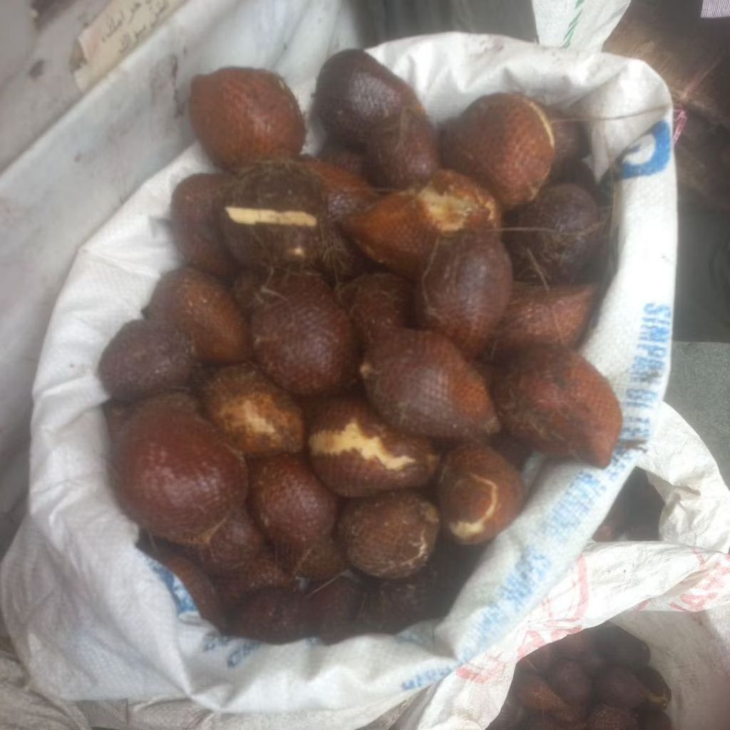 

Salak Sidempuan Tunggal Super 1 kg
