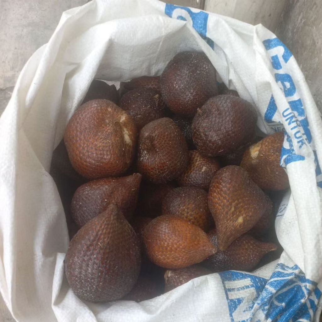 

Salak Sidempuan Super ( Buah Dua ) 1 kg