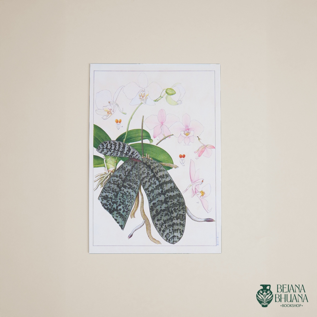 

ANGGREK KARTU POST | ORCHID POST CARD | JAPAN POST CARD | TYPE 4