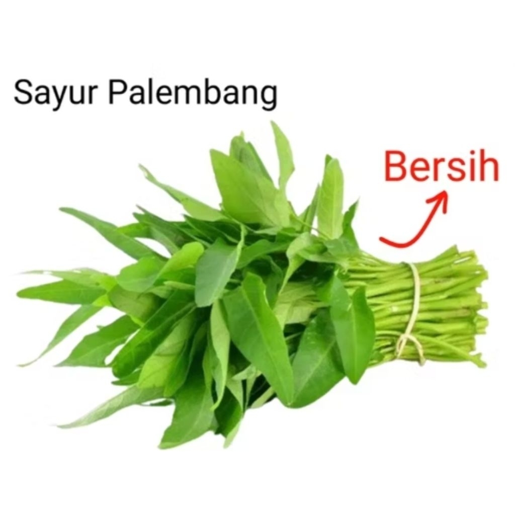 

SAYUR KANGKUNG - Palembang