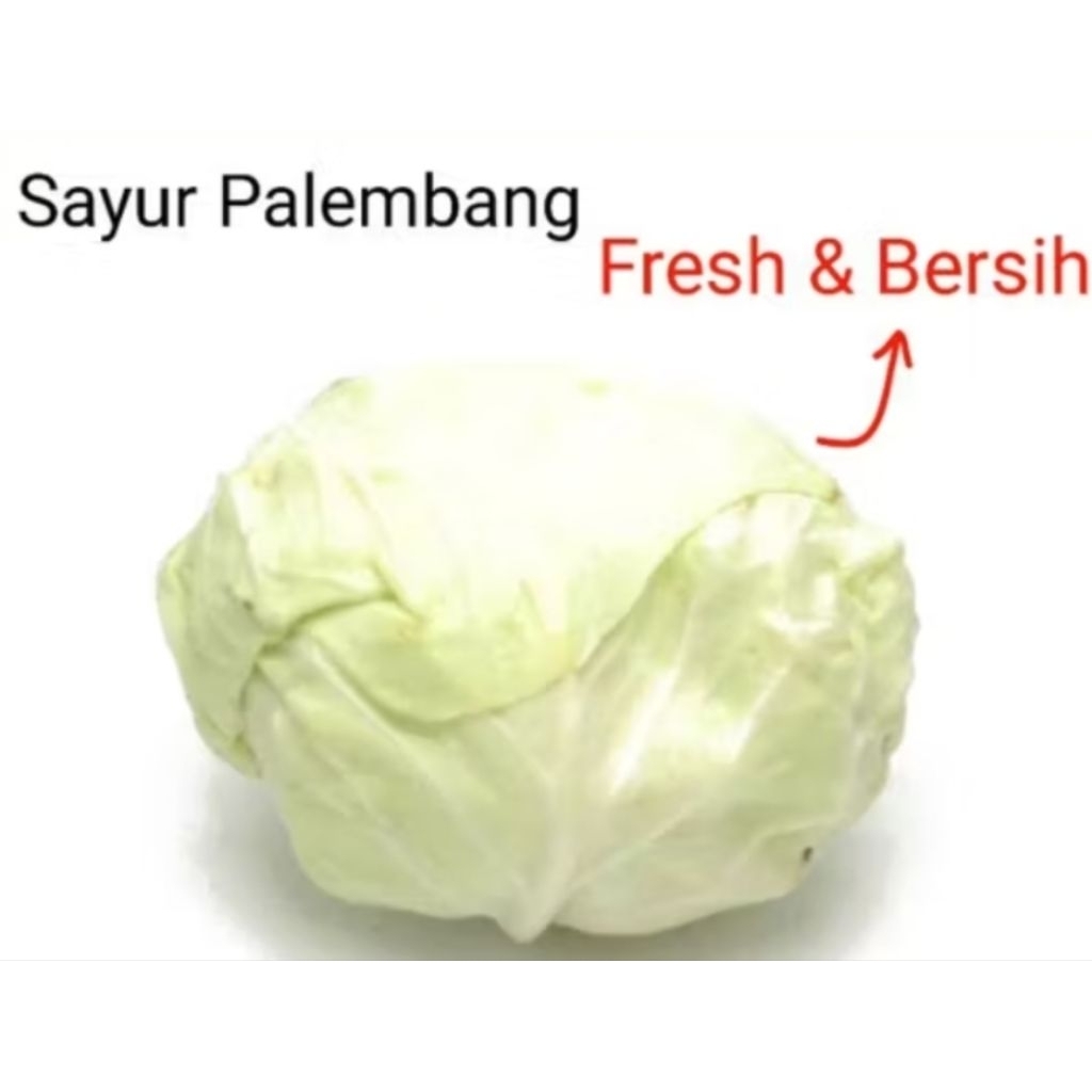 

SAYUR KUBIS - Palembang