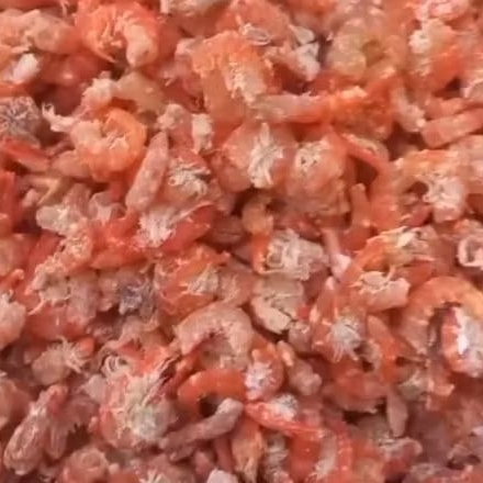 

Udang Ebi Daging Merah Segar 1KG Khas Ketapang