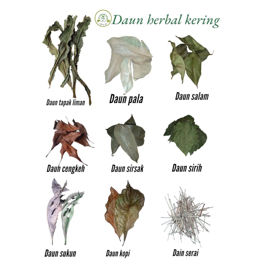 

daun herbal kering paket 3ribuan organik 100%, daun salam, daun sirsak, daun serai, daun sukun, daun cengkeh, daun sirih, daun tapak liman, daun pala, daun kopi, varian kering