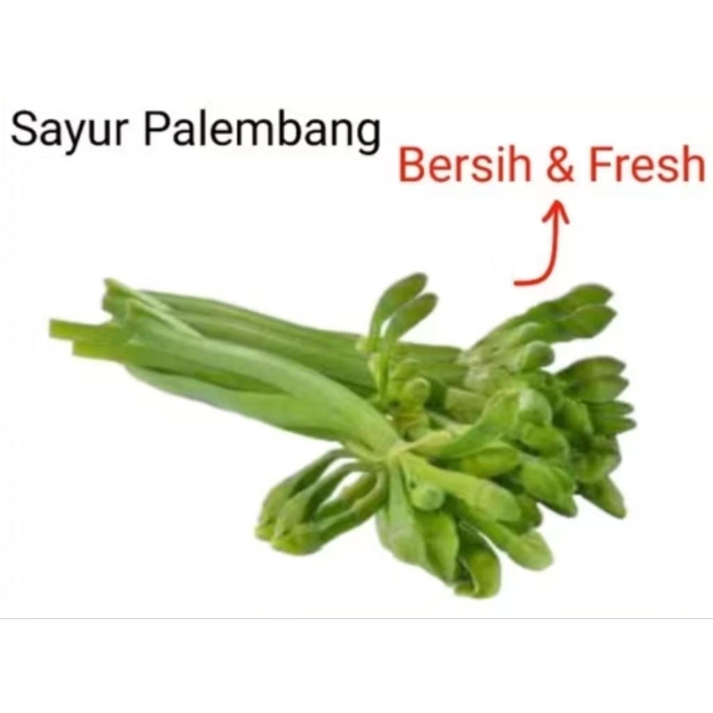 

SAYUR GENJER - Palembang