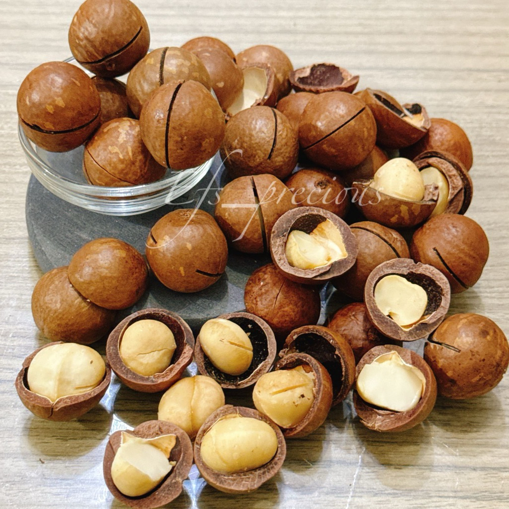 

Macadamia Nut Kacang Makadamia 500 gr gram in shell dengan kulit