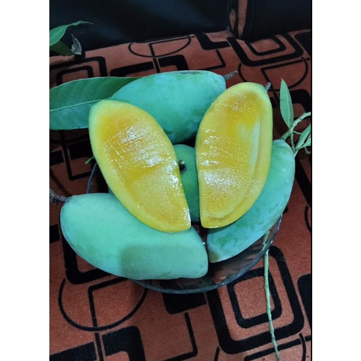 

Mangga thailan jenis okyong / namdokmai tua mentah 1kg isi 3-4-5 bisa request