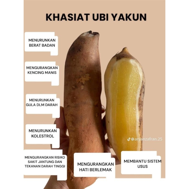 

ubi yacoon viral | ubi yakon | 500gr & 1kg |buah yakon
